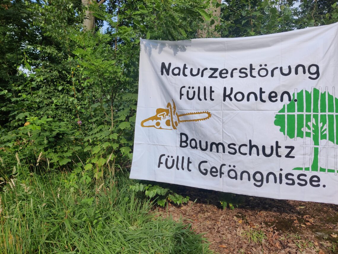 Transparent mit Kettensäge und Baum hinter Gittern vor Wald mit Aufschrift "Naturzerstörung füllt Konten - Baumschutz füllt Gefängnisse"